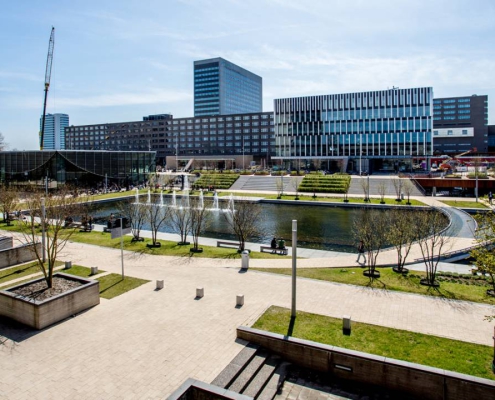 دانشگاه آراسموس